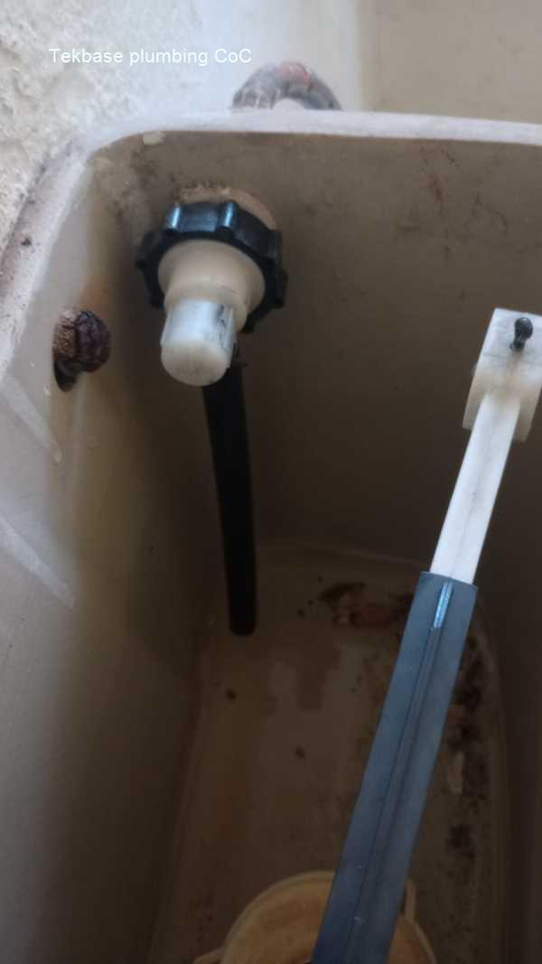 Tekbase plumbing CoC