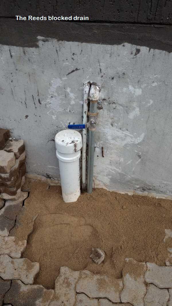 The Reeds blocked drain cleaners