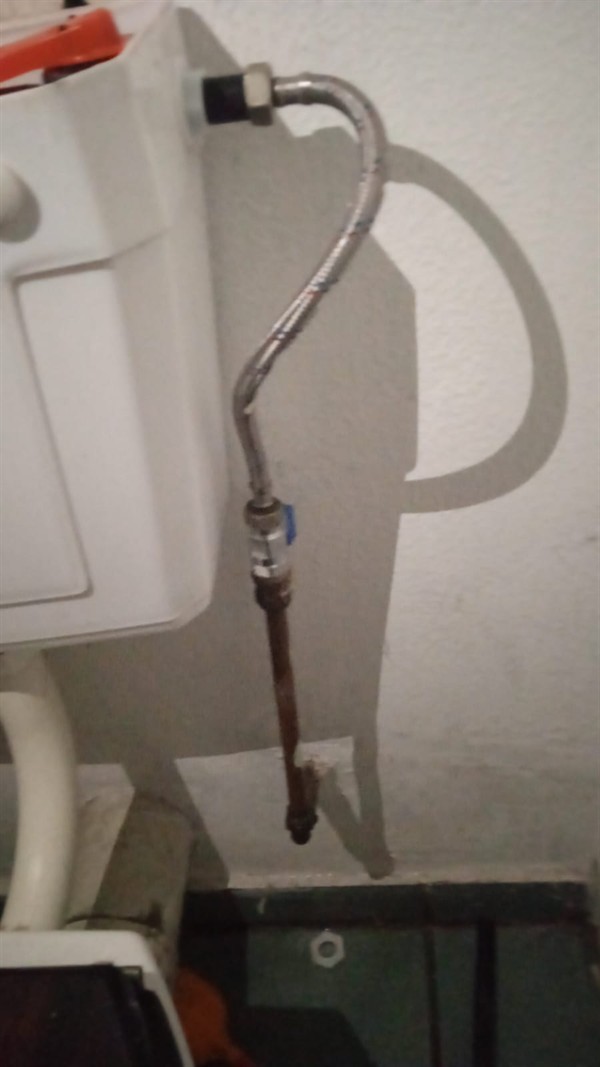 Damp floor near toilet from leaking flexi pipe in Motortown