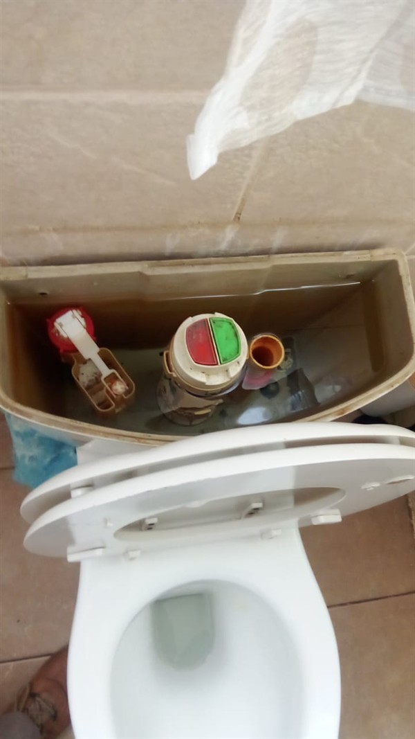 Faulty geyser element and thermostat repair in Bays Hill with open Geyser and visible components