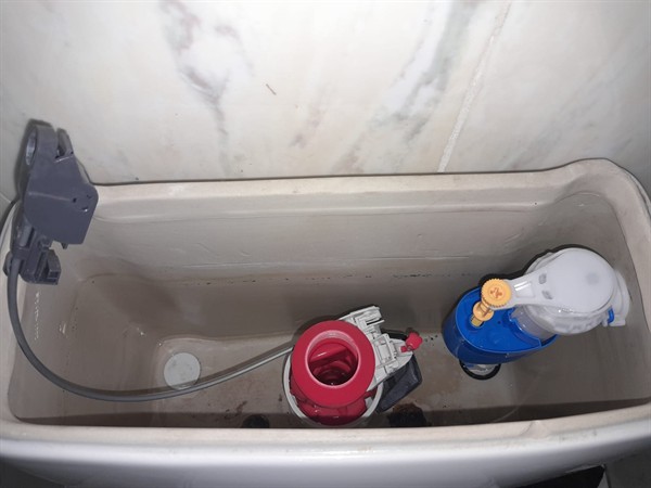 Faulty geyser element and thermostat repair in Lindhaven with open Geyser and visible components