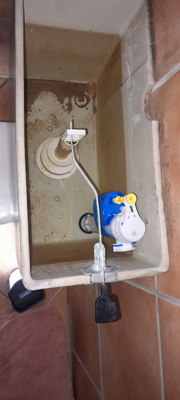 Faulty geyser element and thermostat repair in Innesfree with open Geyser and visible components