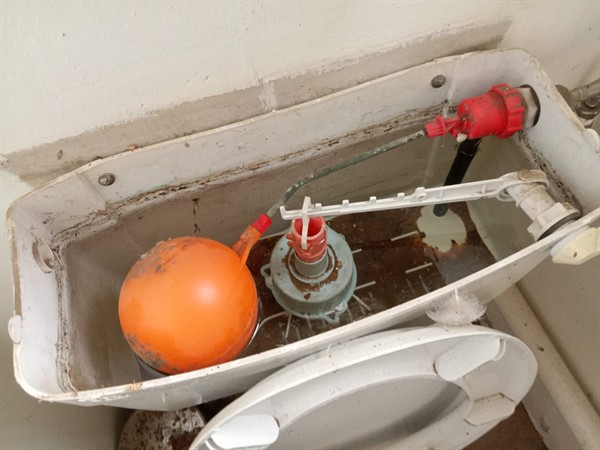 Technician repairing open geyser element and thermostat in Olympia Park with exposed wiring and heating components