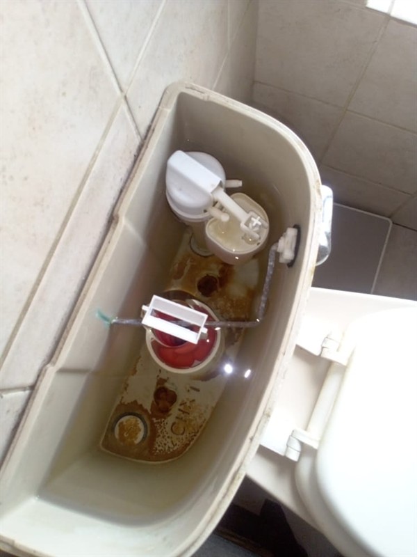 Faulty geyser element and thermostat repair in Parkhurst with open Geyser and visible components