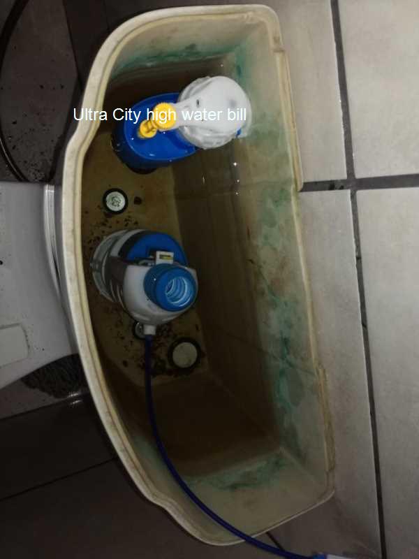 Tame your high water bill in Ultra City