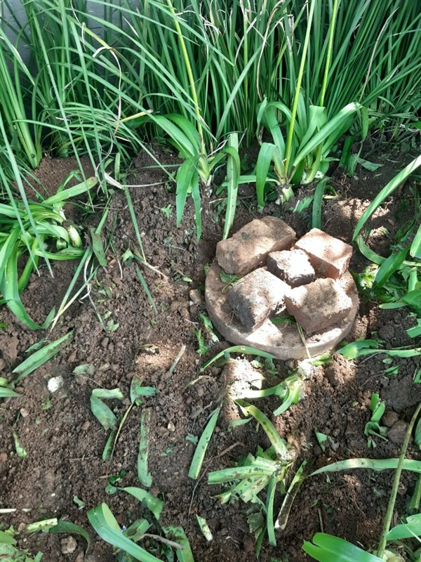 Blocked sewer line showing visible debris