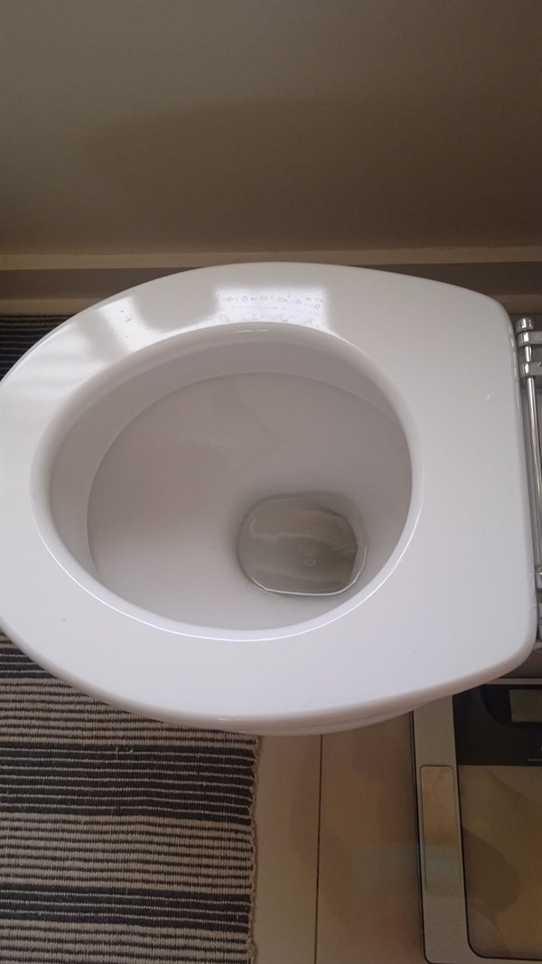 Toilet with poor drainage from blockage