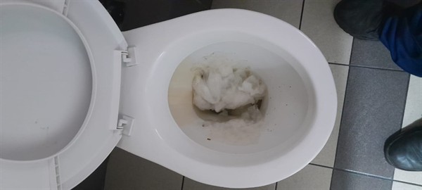 Final toilet fix completed