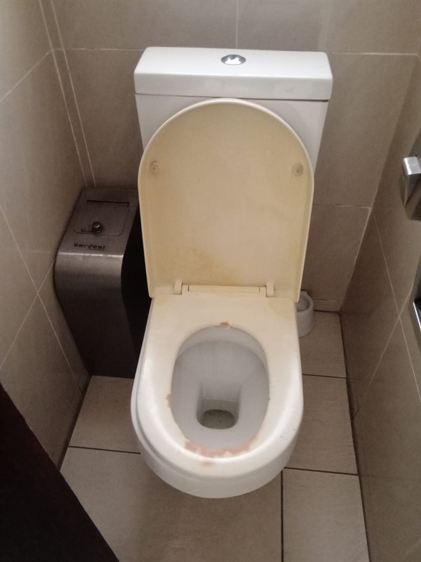 Toilet with poor flushing from blockage
