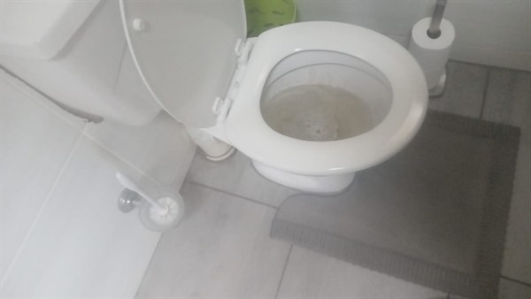 Persistent clog in toilet during cleaning