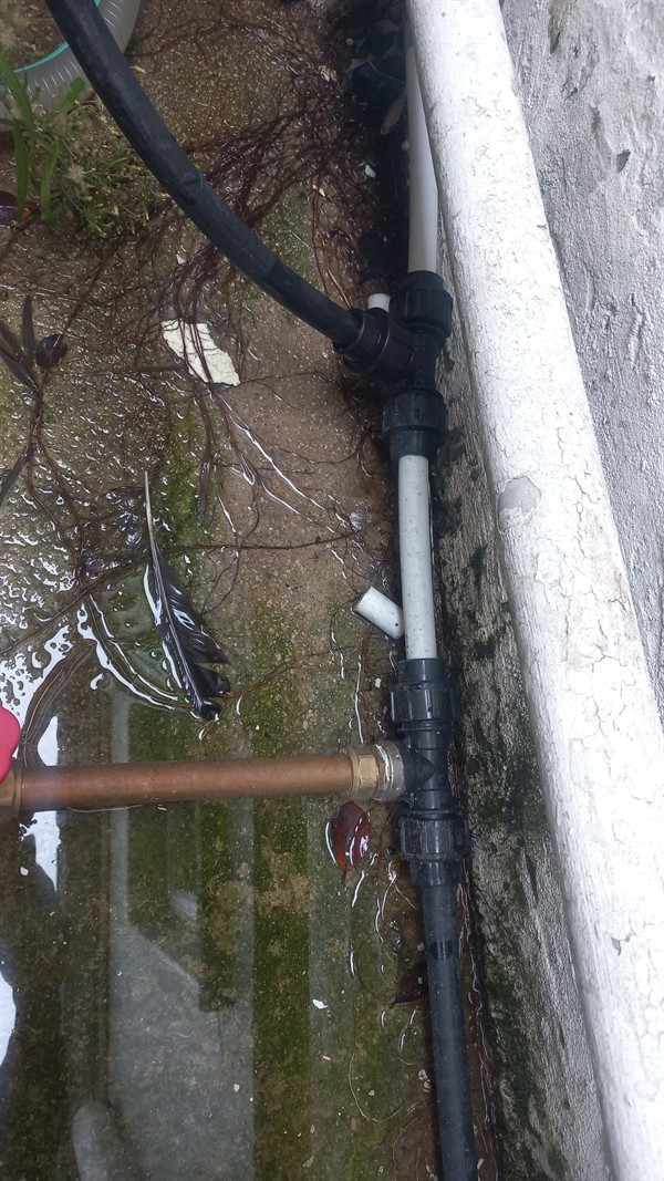 Heavy leak and growing wet patch from burst outside pipe in Wentworth Park