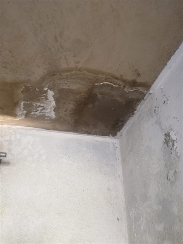 Visible wet areas from damp on wall in Fairlands