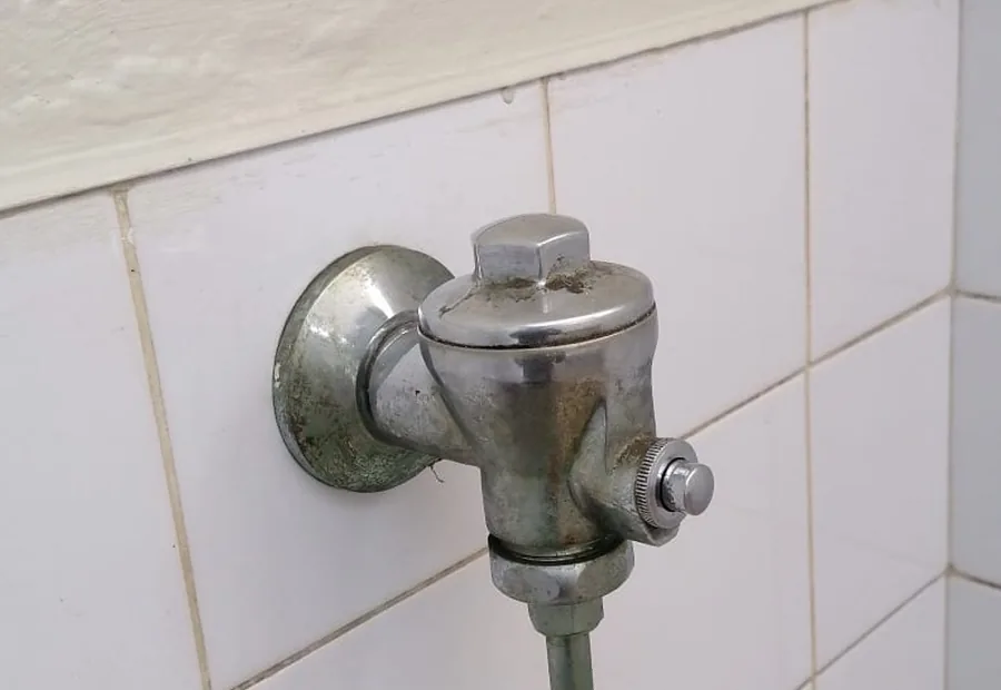 Urinal Flush Valve Service Waterkloof showing a commercial urinal flush valve