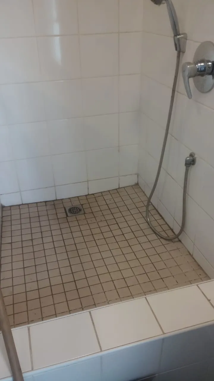 Shower floor waste inspection and cleaning example.