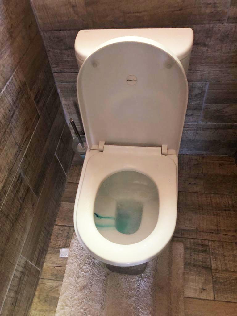 Satisfied client with a Toilet Installation