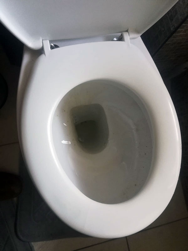 Blocked toilet cleaning