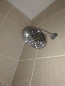 Can I catch Legionnaires’ disease from my shower?