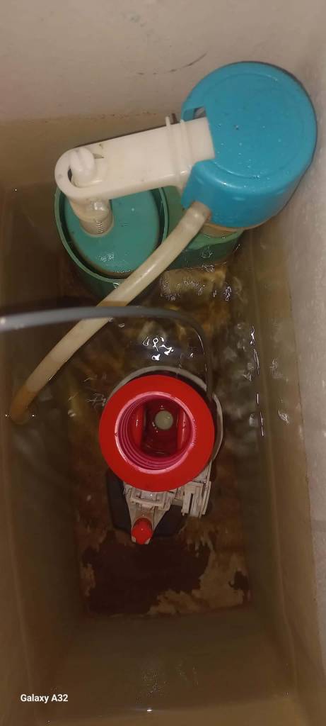 Common Toilet Issues and Repairs