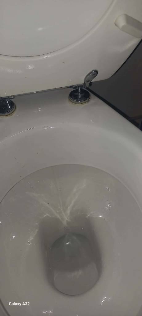 The Urgency of Toilet Repairs