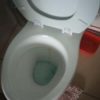 Can flushing too much toilet paper cause blockages