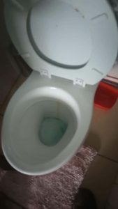 Can flushing too much toilet paper cause blockages?