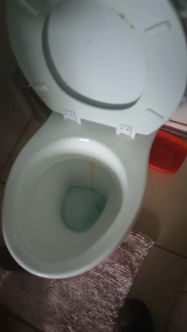 Can flushing too much toilet paper cause blockages