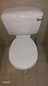 Can I unblock a toilet myself, or do I need a plumber?