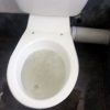 What should I do if my toilet overflows in the middle of the night