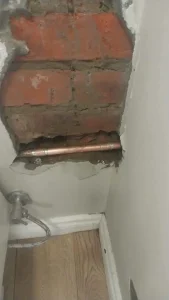 How do water leaks lead to mold and respiratory problems?