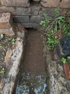 What are the dangers of standing water from leaks?