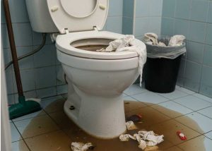 Blocked Toilet Repairs in Randburg