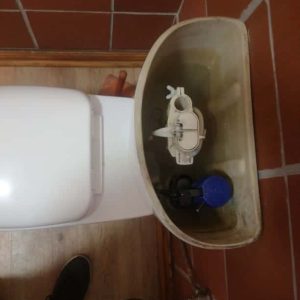 leaking toilet repair